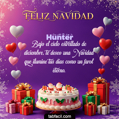 Feliz Navidad Hunter GIF