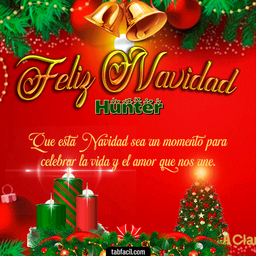 Feliz Navidad Hunter GIF