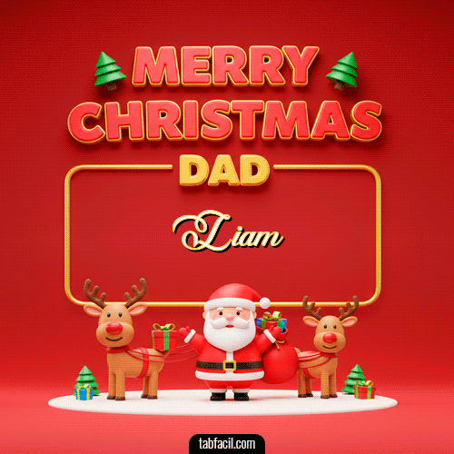 GIF de Liam - Merry Christmas DAD