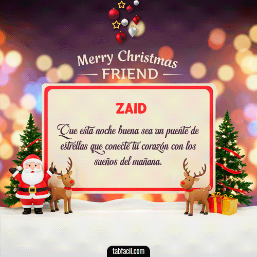 GIF de Zaid - Merry Christmas Friend