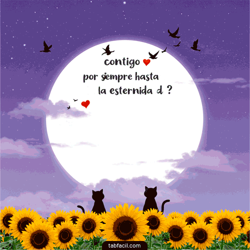 GIF de 